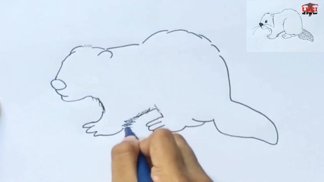 How to Draw a Beaver Drawing Easy Sketch & Outline Step by Step for Beginners | Beaver's Art