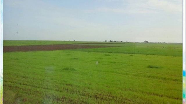 М. М. Пришвин. Предмайское утро. Глоток молока