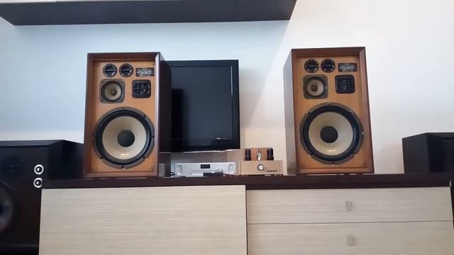 VICTOR BLA-305