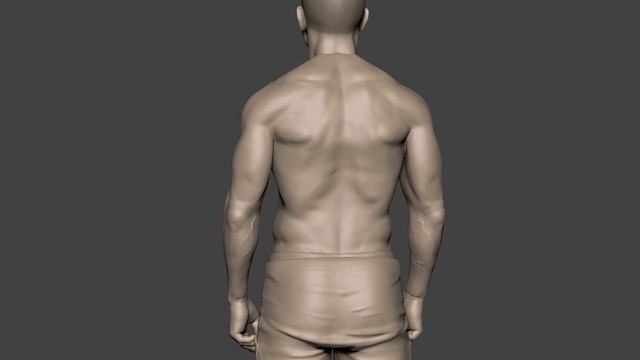 ZBrush anatomy turntable