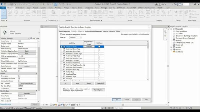 05.3 Beams Shop drawing in revit with sofistik (Defination , View Template And Sections)