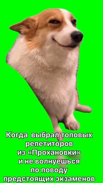 Прохановка.mp4