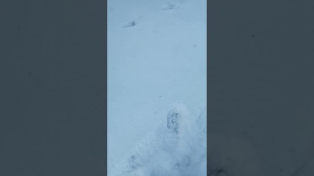Скулбой ранавей в реальной жизни