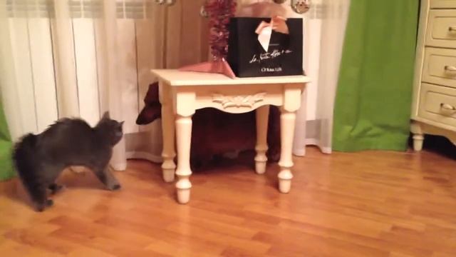 Маленький Мазафака ^ ^