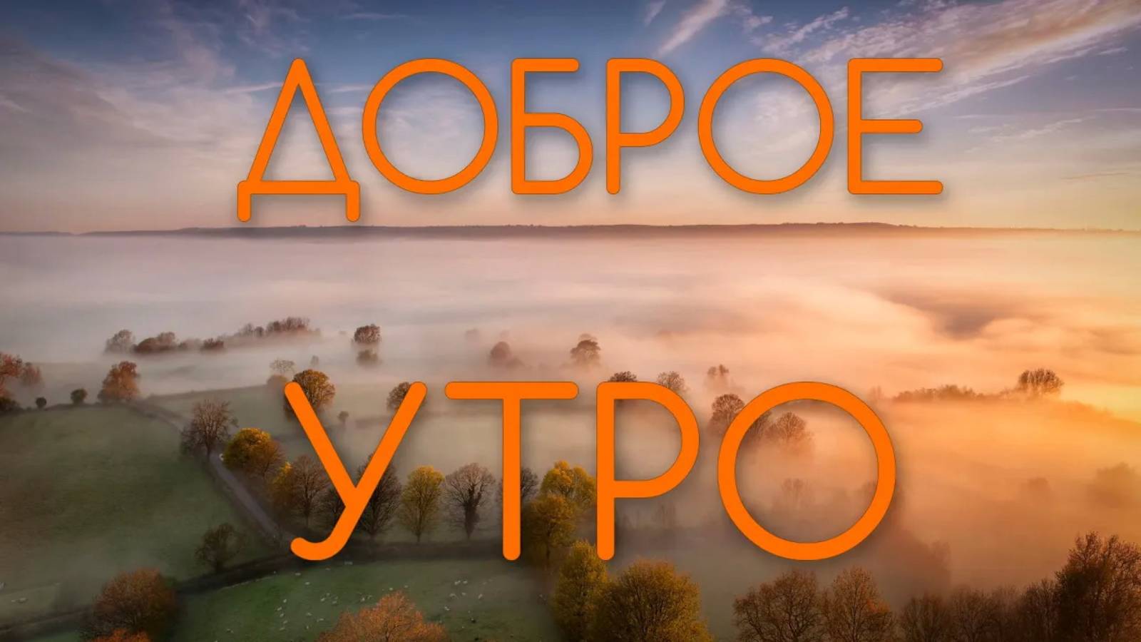 Доброе утро.