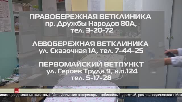 Акция в ветеринарных клиниках 21.02.2025