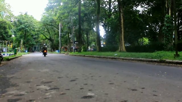 W175 Black Mamba