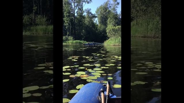 Ленобласть. Хвойное. 24.07.2024. На байдарках по Вуоксе. Прохождение узкого рукава, через коряги