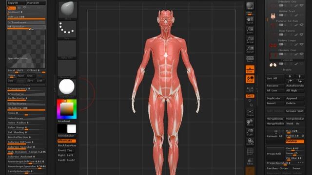 ZBrush Material System: Using The Mixer