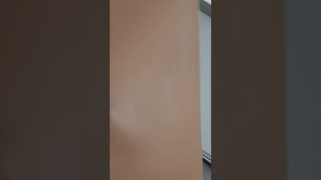 Сапоги Эконика