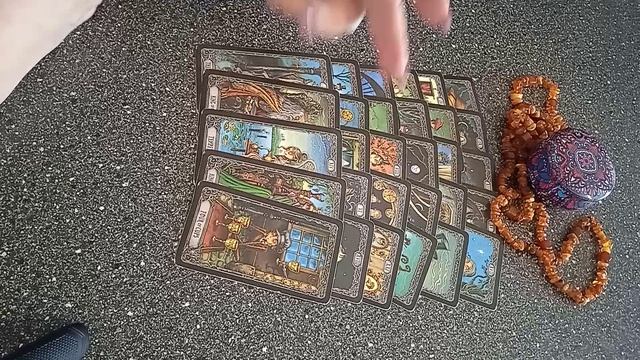 VID_20250224_150922.mp4