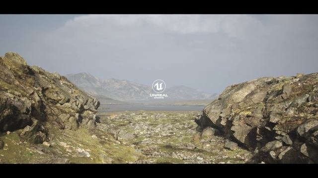 Tundra Quixel Megascans Assets | Lumen & Nanite