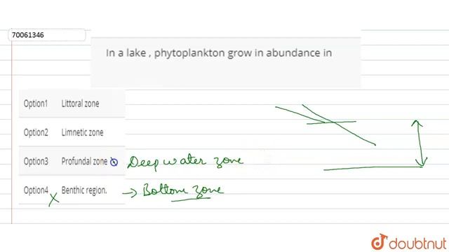 In a lake , phytoplankton grow in abundance in