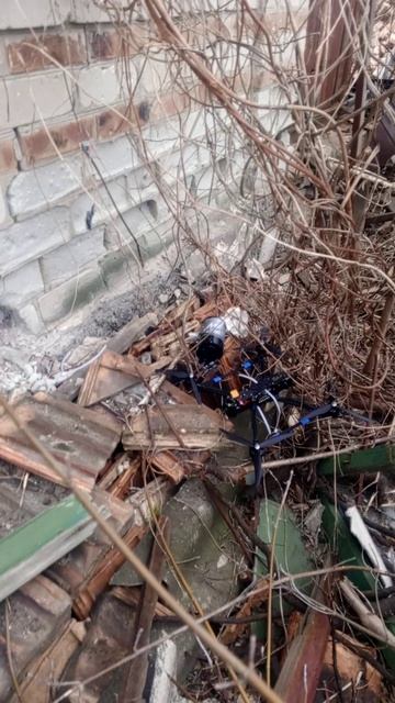 FPV