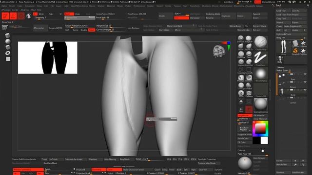 Stylized Female Anatomy Study 1 Zbrush Timelapse