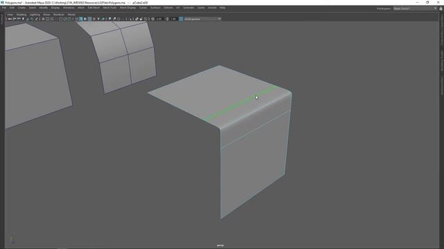 Subdivision Surfaces | 3D Graphics Overview