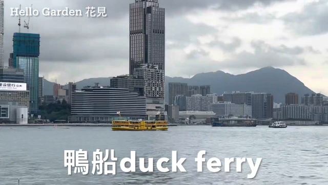 巨型鴨仔2023企定定中區海濱長廊見香港市民《橡皮鴨二重暢》Double ducks returned to Hong Kong 2023-6-10~下午知道左邊一隻被工作人員放氣🤔希望修覆再現身