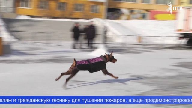 Военную технику, оружие и машины МЧС показали первоуральцам