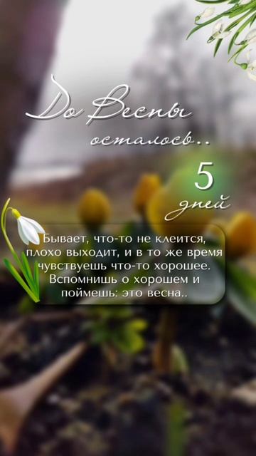 Пусть распускаются цветы 🥀 в саду🌹🌹🌹💯