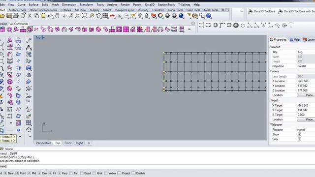 Rhino basic for ship