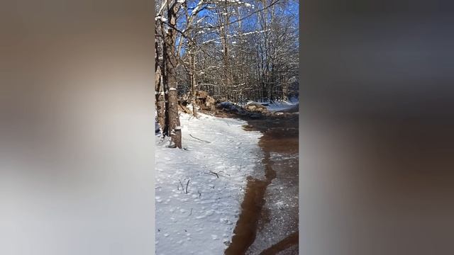 Через реку Кересть