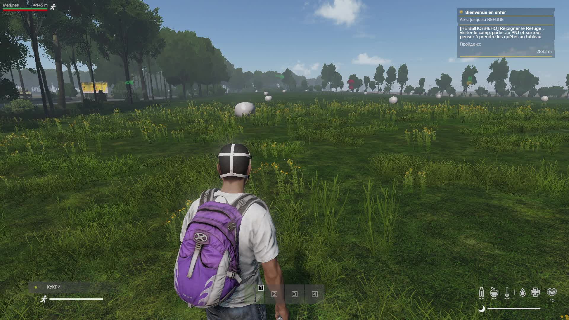 DayZ PVE карта Banov  французские Боты