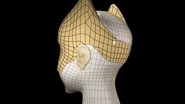 3d maxForce wireframe head