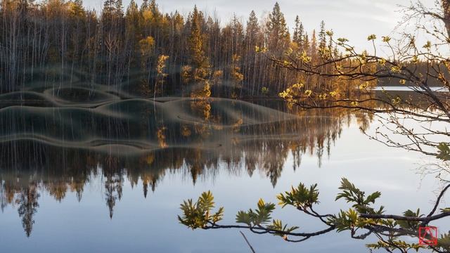 Прп. Нил Синайский К Евлогию монаху. Слово 1 ч9