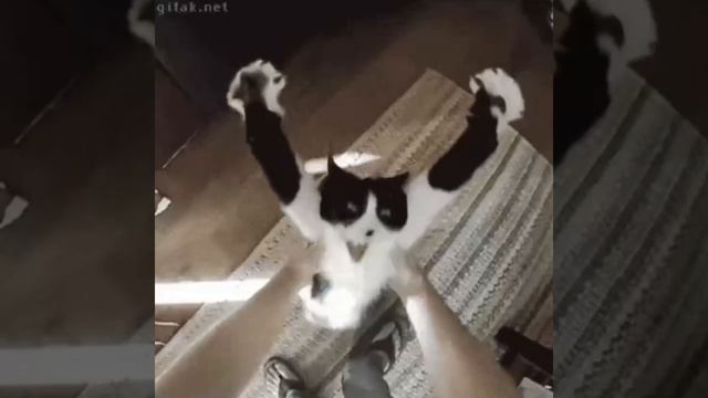 Взлёт