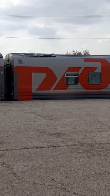 1000030427.mp424.02.2024г.