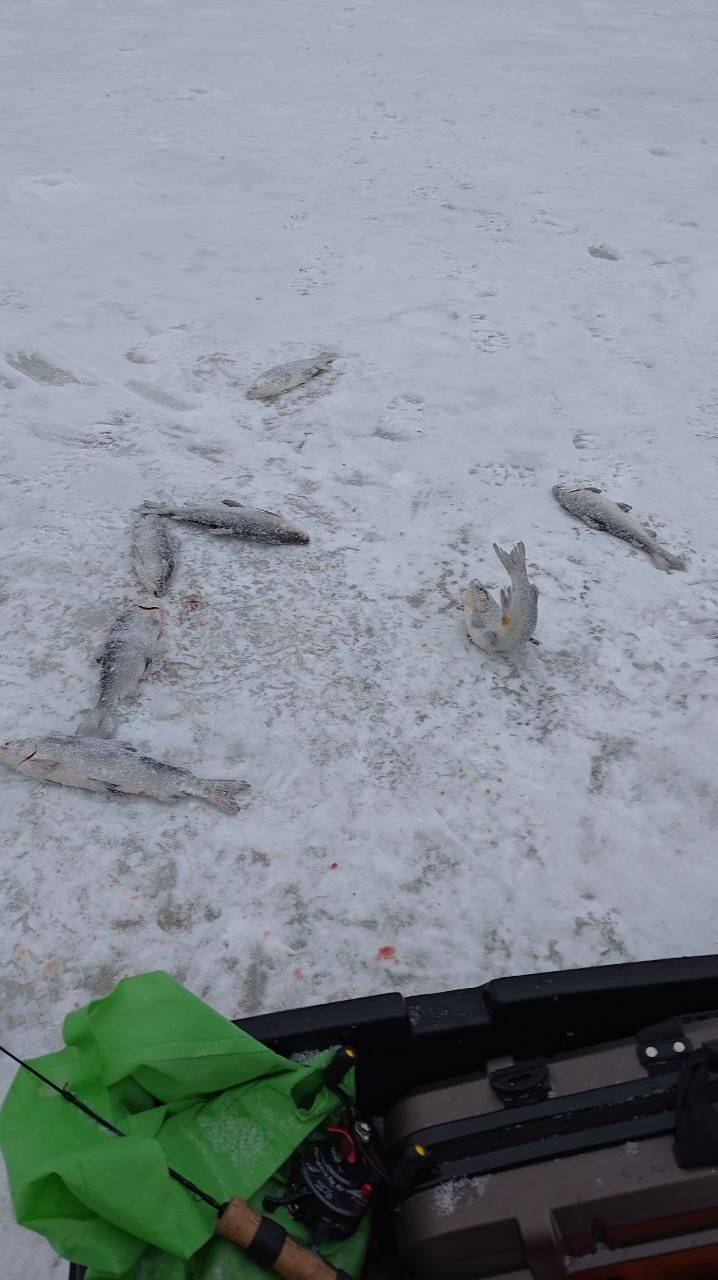 Понедельник день тяжелый