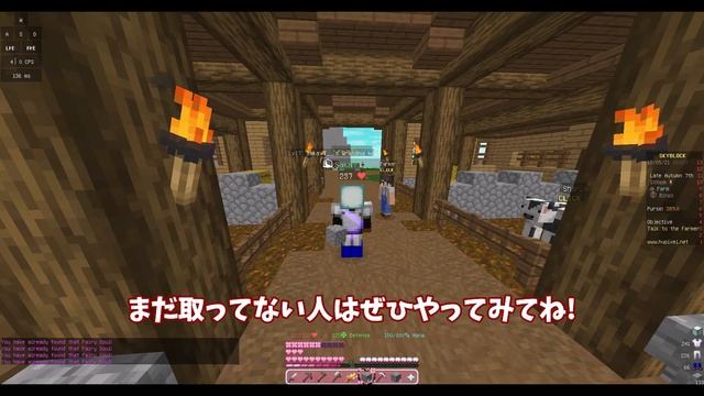 簡単に取れちゃうハブの取りづらかったソウル！ | Hypixel SkyBlock Hub Fairy Soul