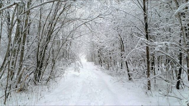 2. После снегопада тишина. Ernesto Cortazar - Eternity