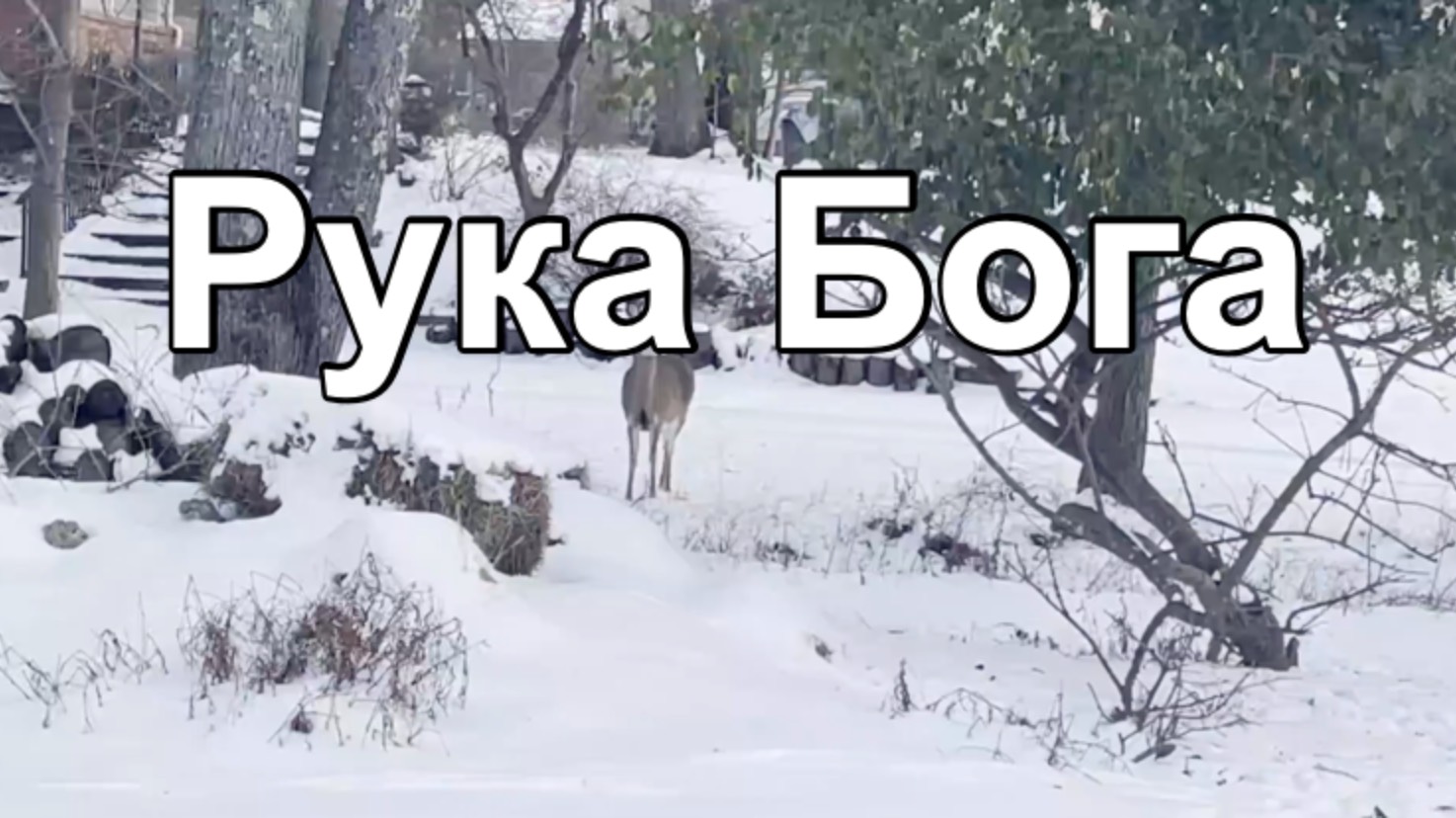 Рука Бога