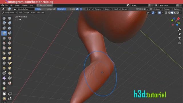 Encontrando y Proyectando pose en Blender