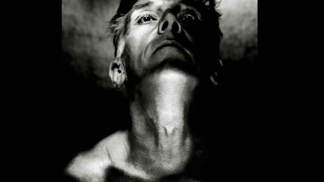 Trash Palace & John Cale - The Insult