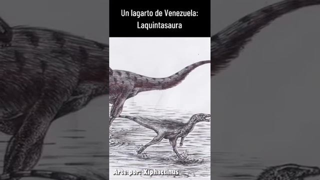 Laquintasaura, el primer dinosaurio venezolano