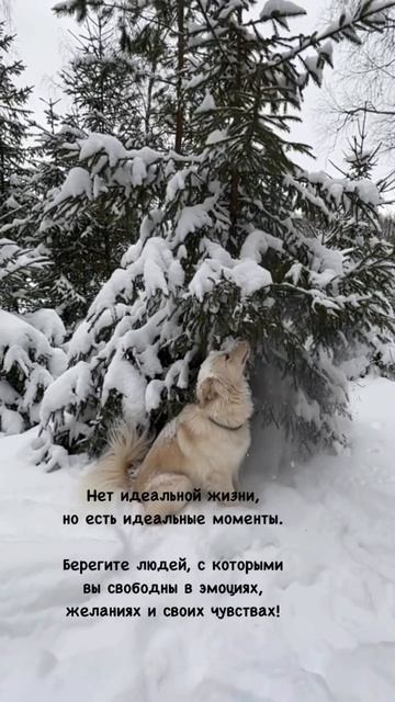 #психологонлайн #психология #созависимыеотношения #созависимость #психологияотношений