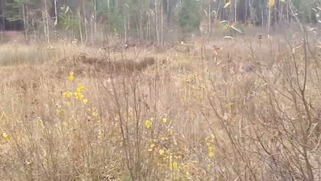 Боганда, 10 городок. Бывший водоём "Лягушатник"