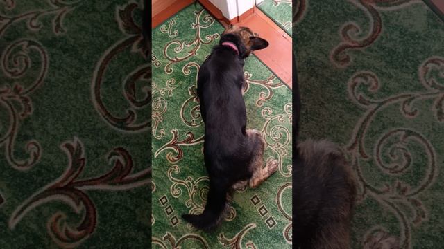 1000001735.mp4