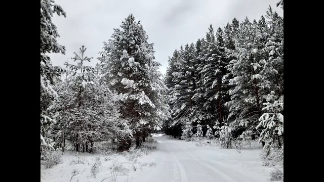 Открытки из фотографий