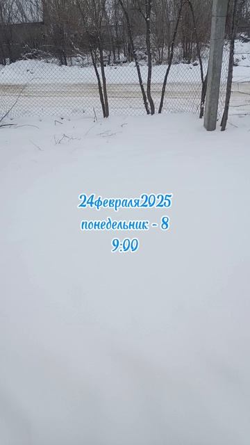 24февраля2025