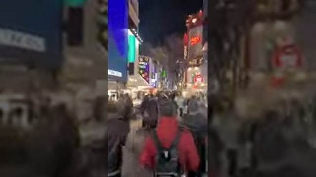 평일에도 북적이는 명동 MYEONG-DONG Main Street 2⧸24 2025