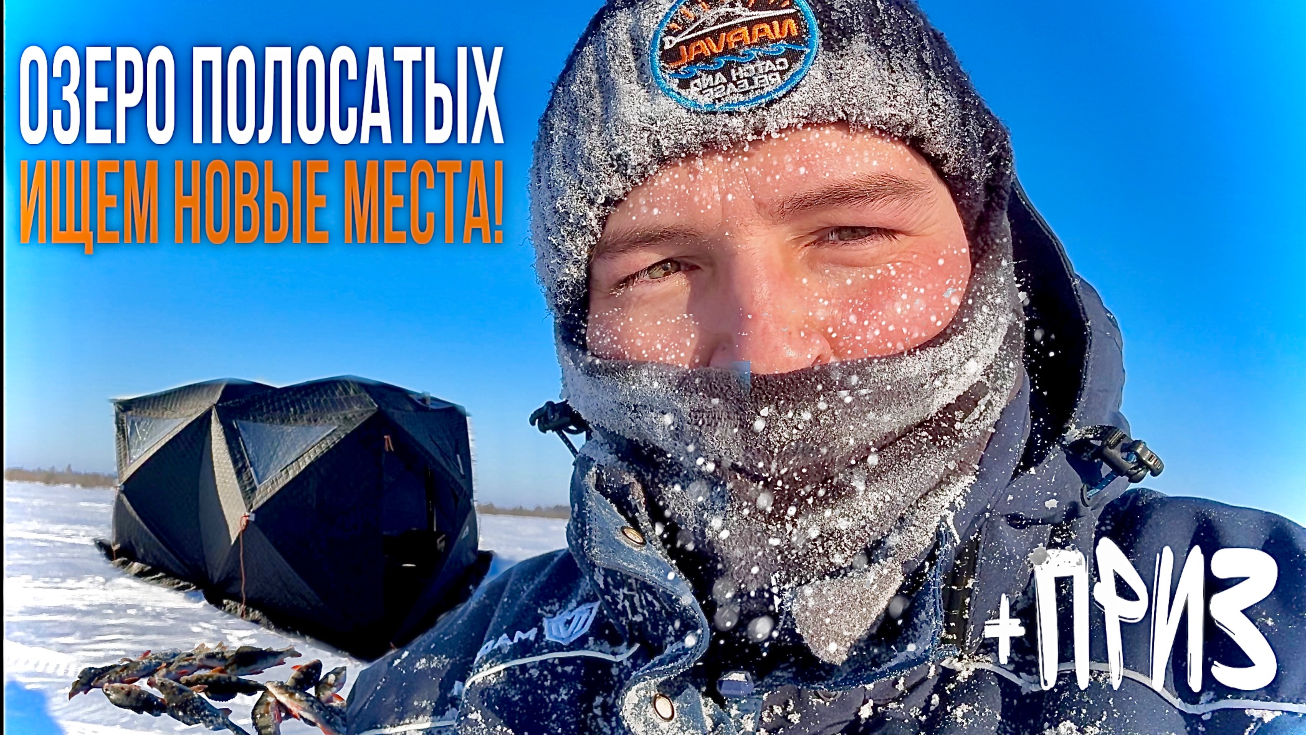 СЛОМАЛИ САНИ И ПЕРЕВЕРНУЛИСЬ НА СНЕГОХОДЕ! ПОИСКИ НОВЫХ МЕСТ. ПОЛОСАТЫЕ ОКУНИ С ТАЁЖНОГО ОЗЕРА.