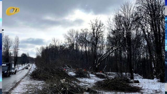 СОТРУДНИКИ ГКС ПРОВЕДУТ ВЫРЕЗКУ ПОРОСЛИ ДЕРЕВЬЕВ И КУСТАРНИКОВ ДО ЛЕСОПОЛОСЫ ПО УЛИЦЕ ПАРКОВОЙ