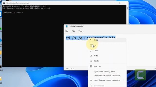 Deleted Files Keep Coming Back in Recycle Bin in Windows 11 Fix | Techsupport for your errors.