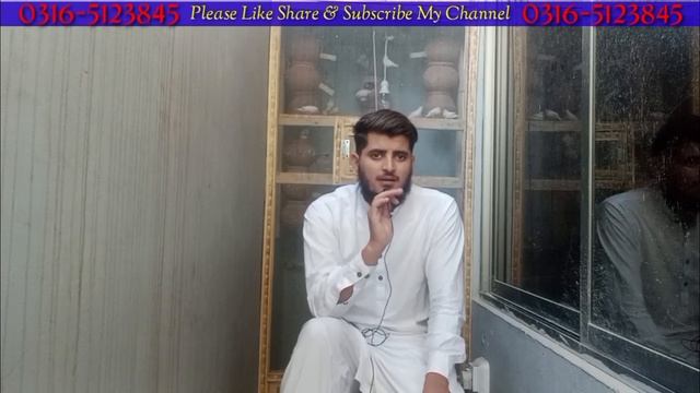Finch Ka Mustakbil Kya ha | Finch Market Price In Pakistan | zebra Finch Business Ideas & Tips.