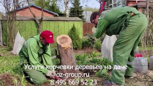 Услуги корчевки деревьев на даче. Выезд садовников по Москве и области. Звоните и заказывайте!