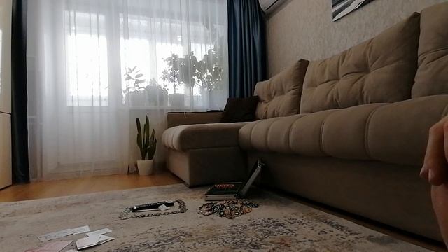 VID_20250212_122627.mp4