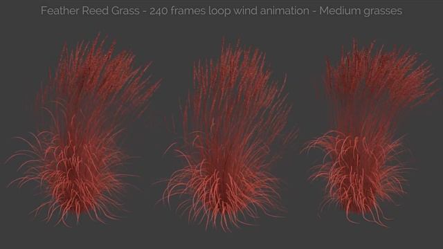 Feather Reed Grass - Wind Animation - 3dsmax, Forest Pack, GrowFx